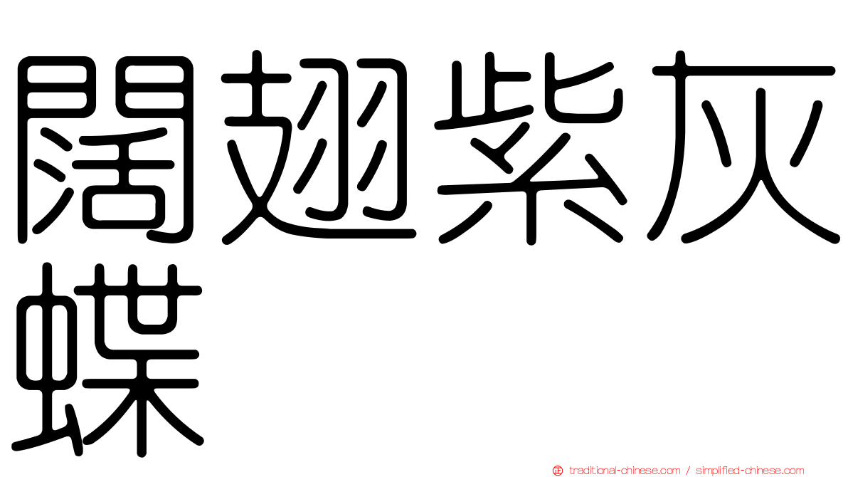 闊翅紫灰蝶