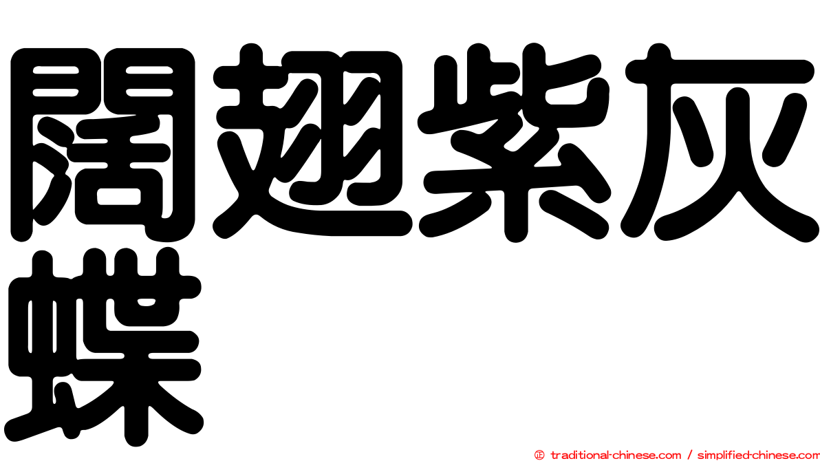 闊翅紫灰蝶