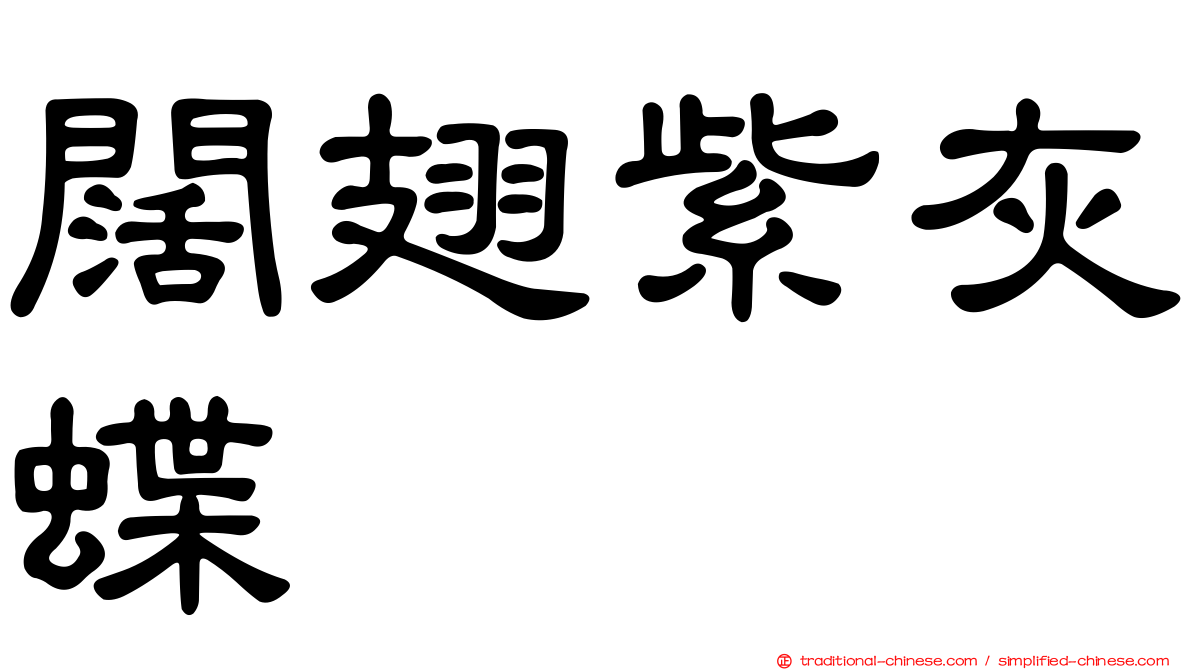 闊翅紫灰蝶