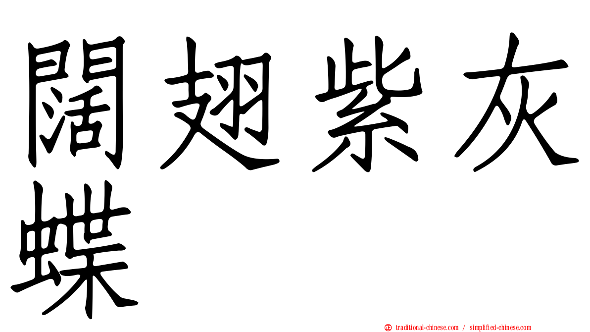闊翅紫灰蝶