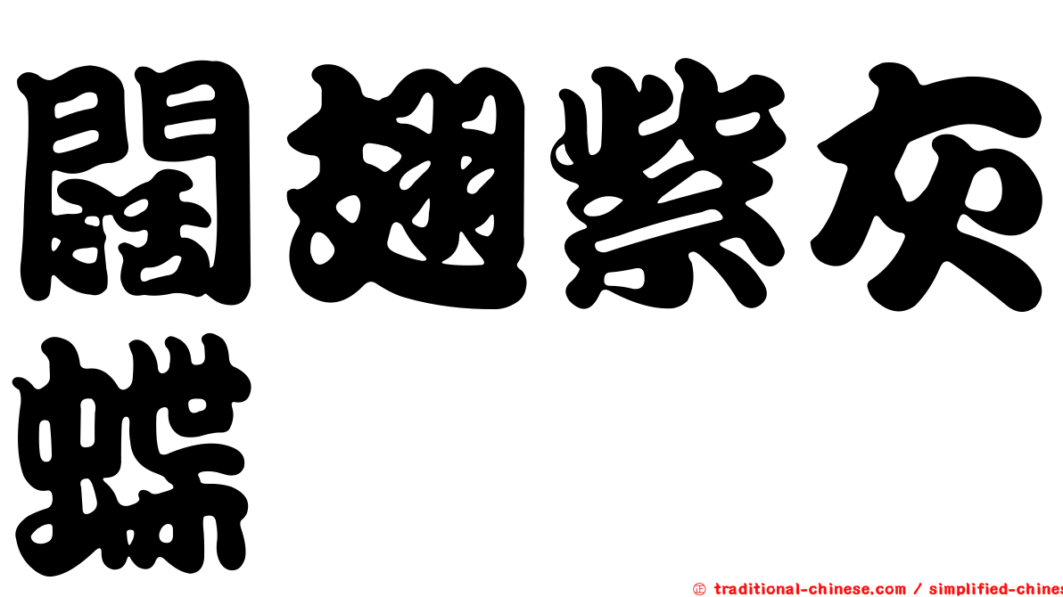 闊翅紫灰蝶