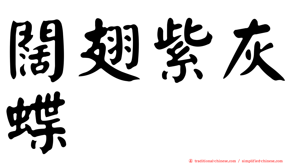 闊翅紫灰蝶