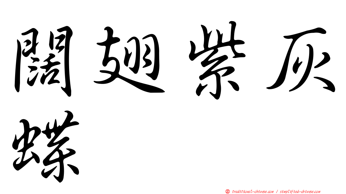 闊翅紫灰蝶