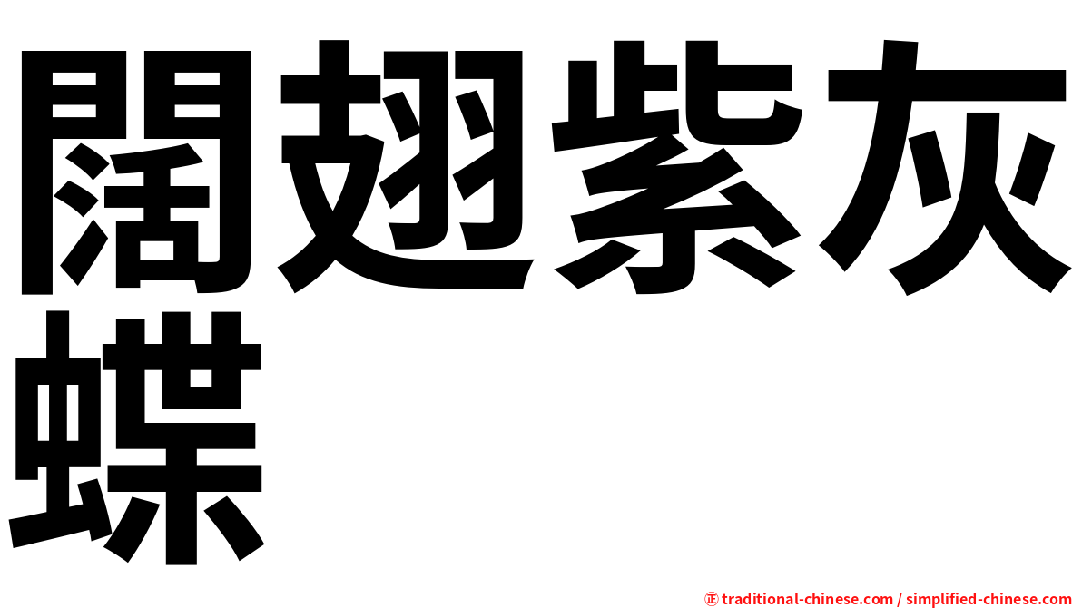 闊翅紫灰蝶