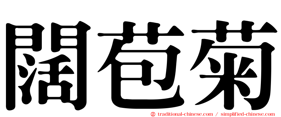 闊苞菊