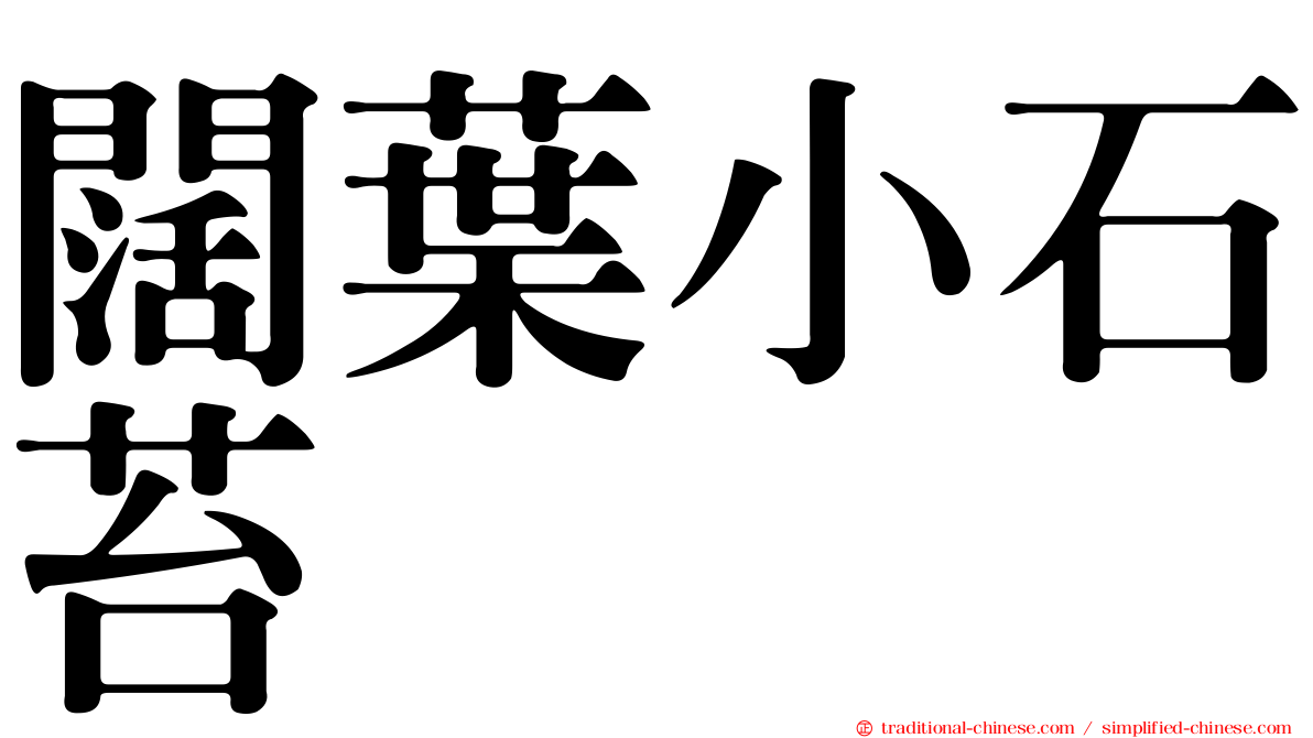闊葉小石苔