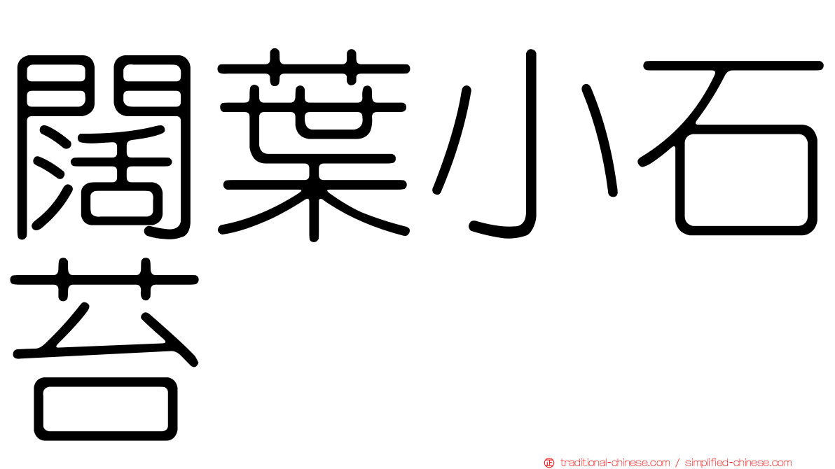 闊葉小石苔