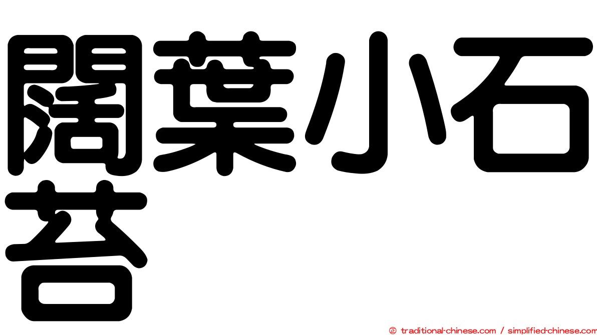 闊葉小石苔