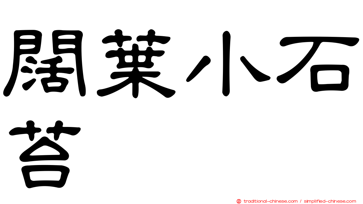 闊葉小石苔