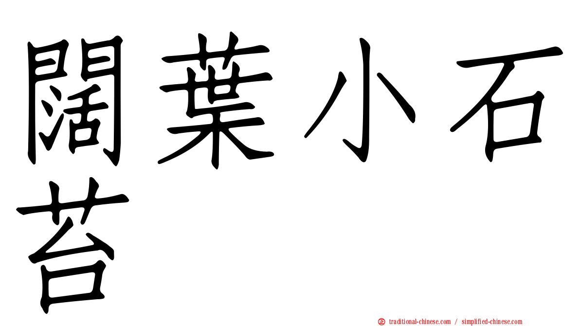 闊葉小石苔