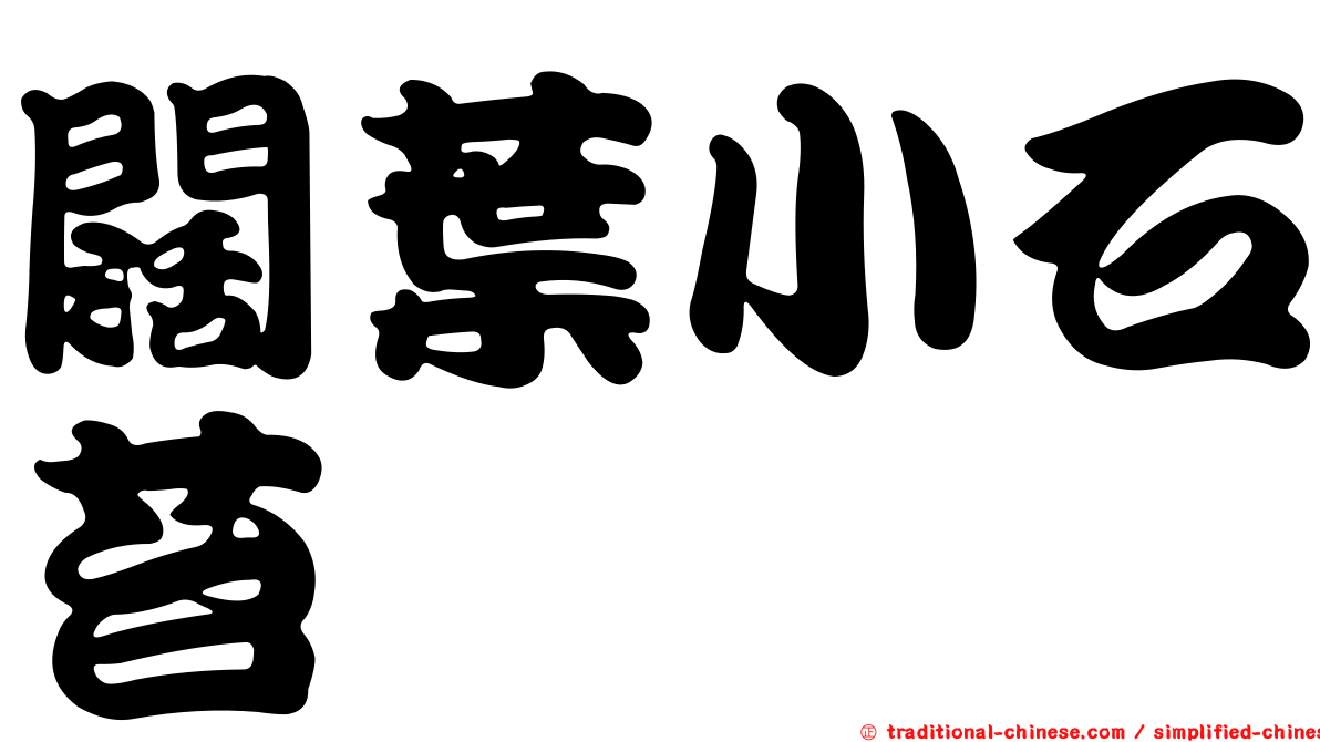 闊葉小石苔