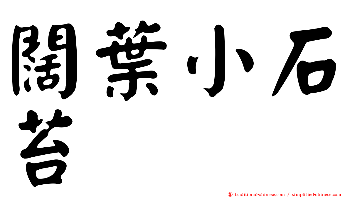 闊葉小石苔