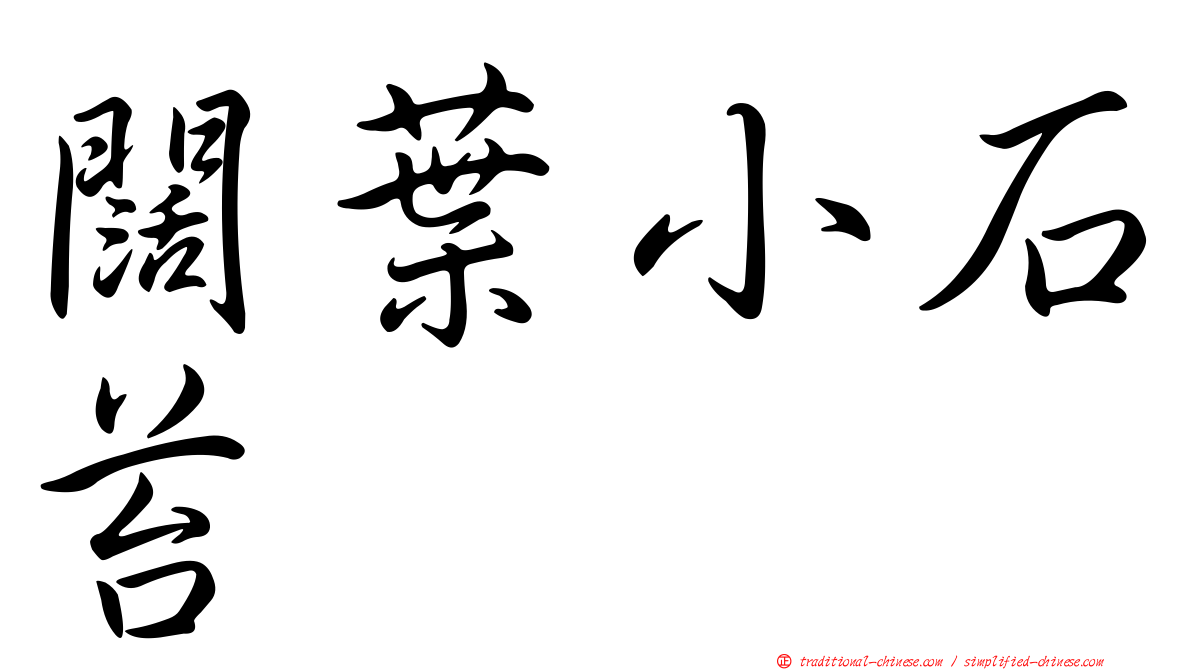 闊葉小石苔