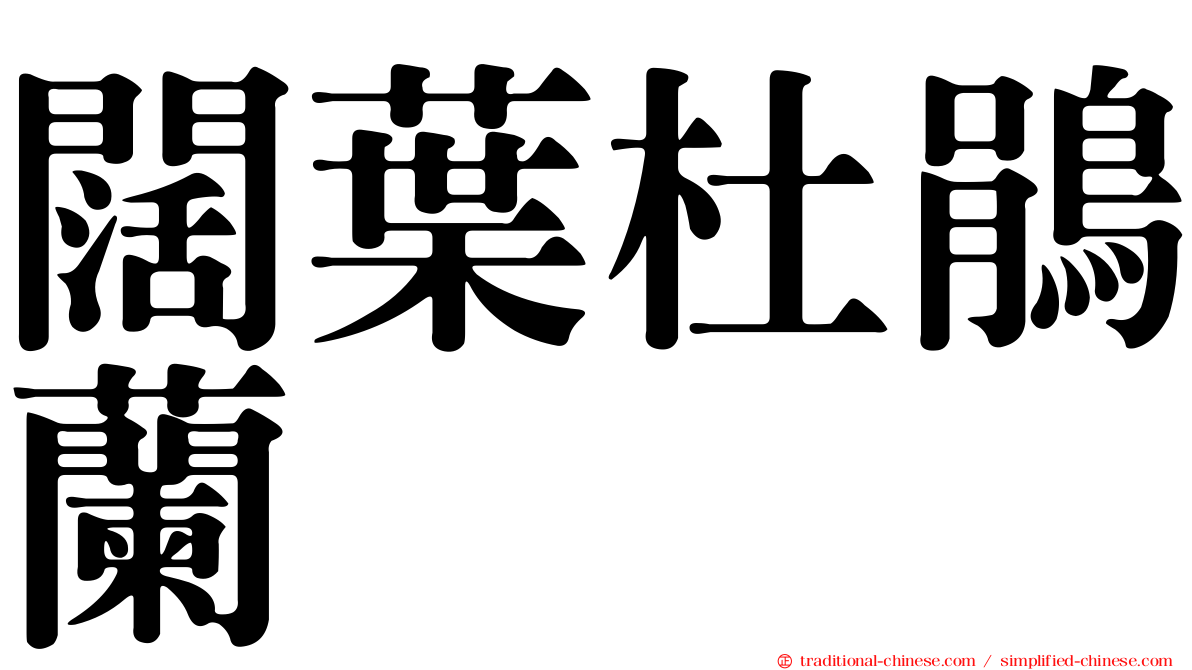 闊葉杜鵑蘭