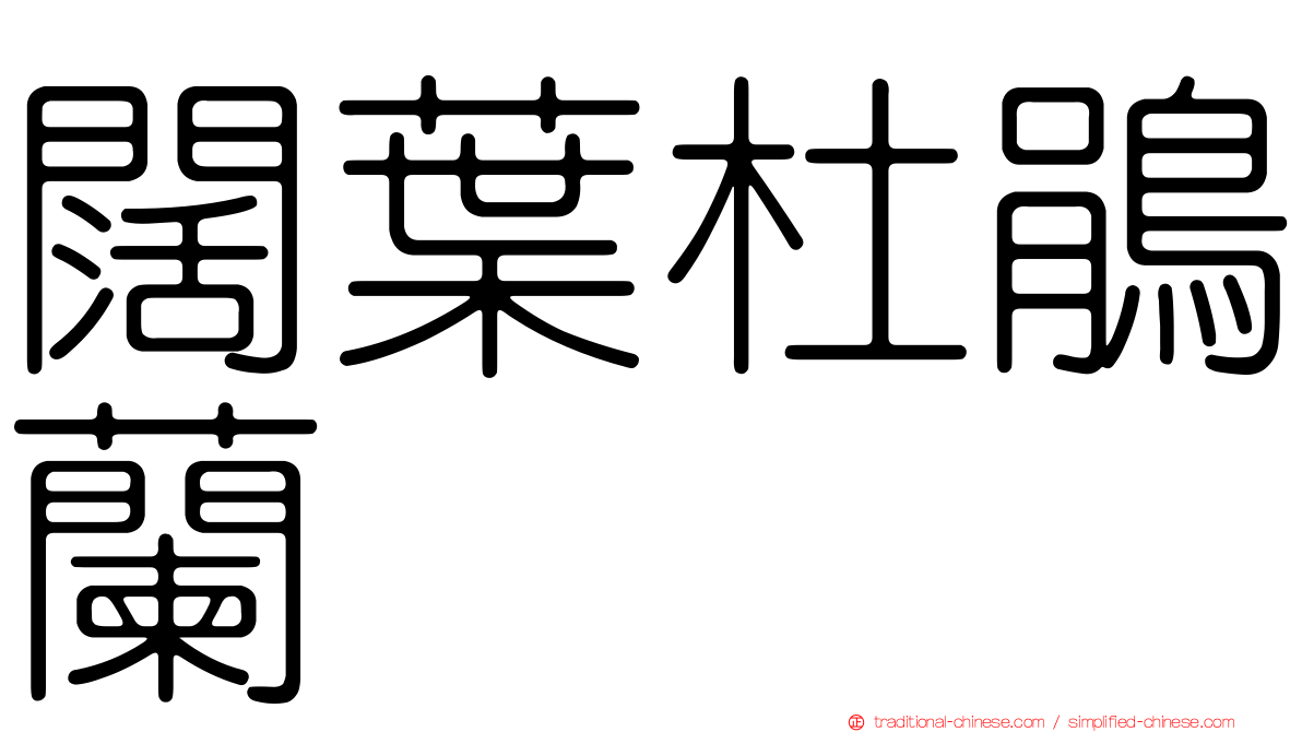 闊葉杜鵑蘭