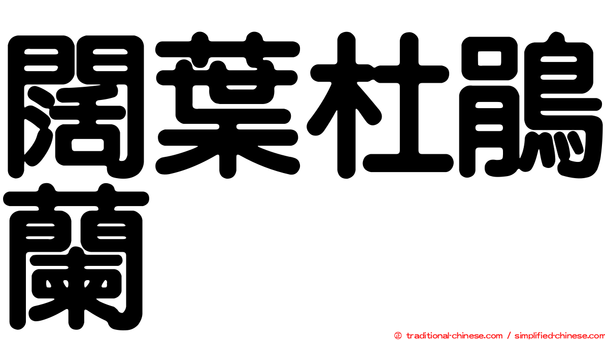 闊葉杜鵑蘭