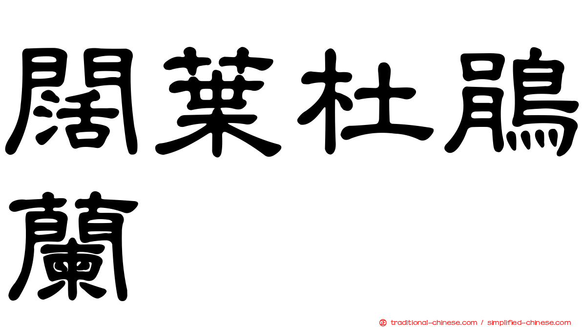 闊葉杜鵑蘭