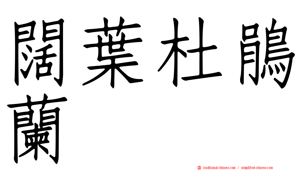 闊葉杜鵑蘭