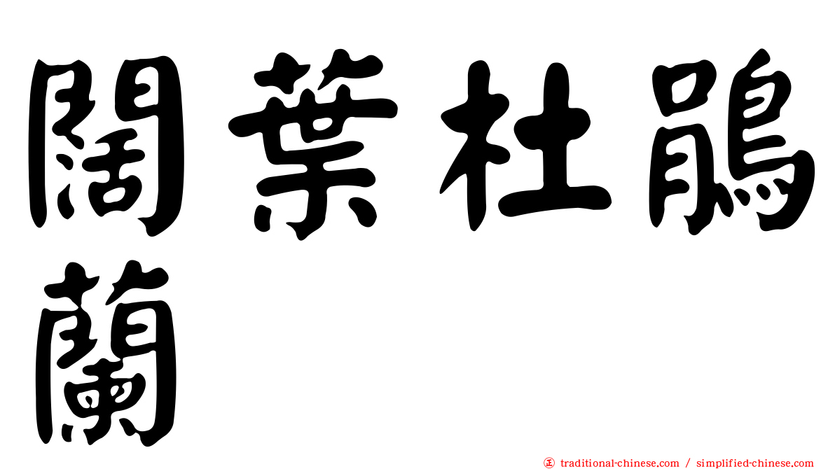 闊葉杜鵑蘭