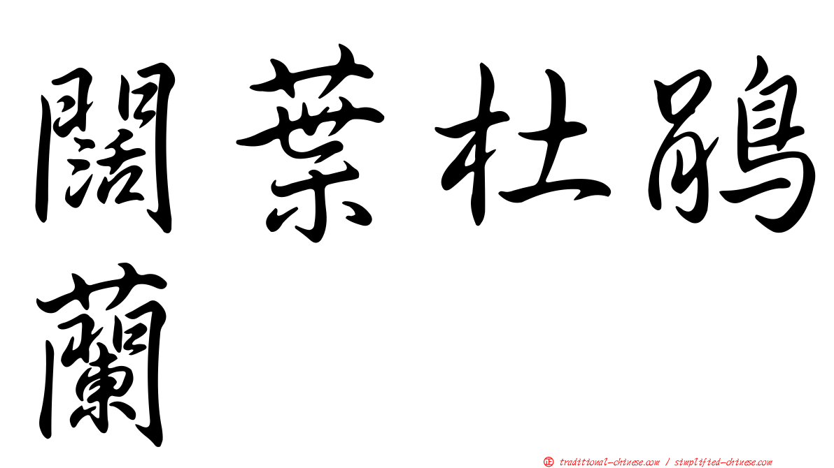 闊葉杜鵑蘭