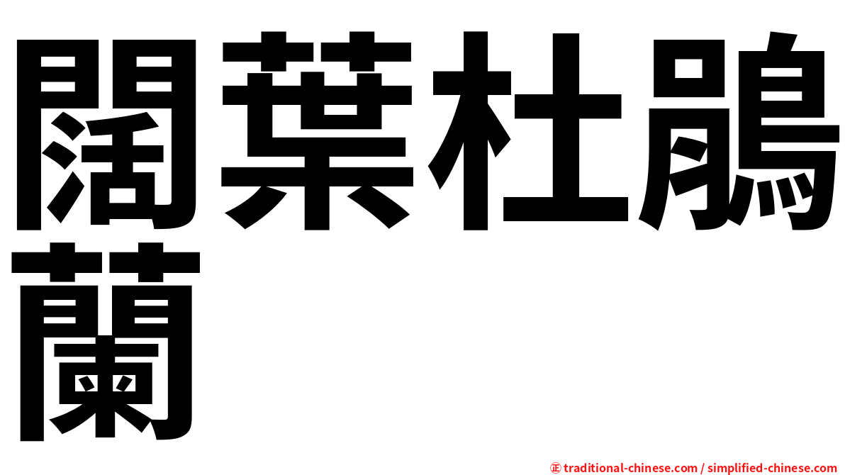 闊葉杜鵑蘭