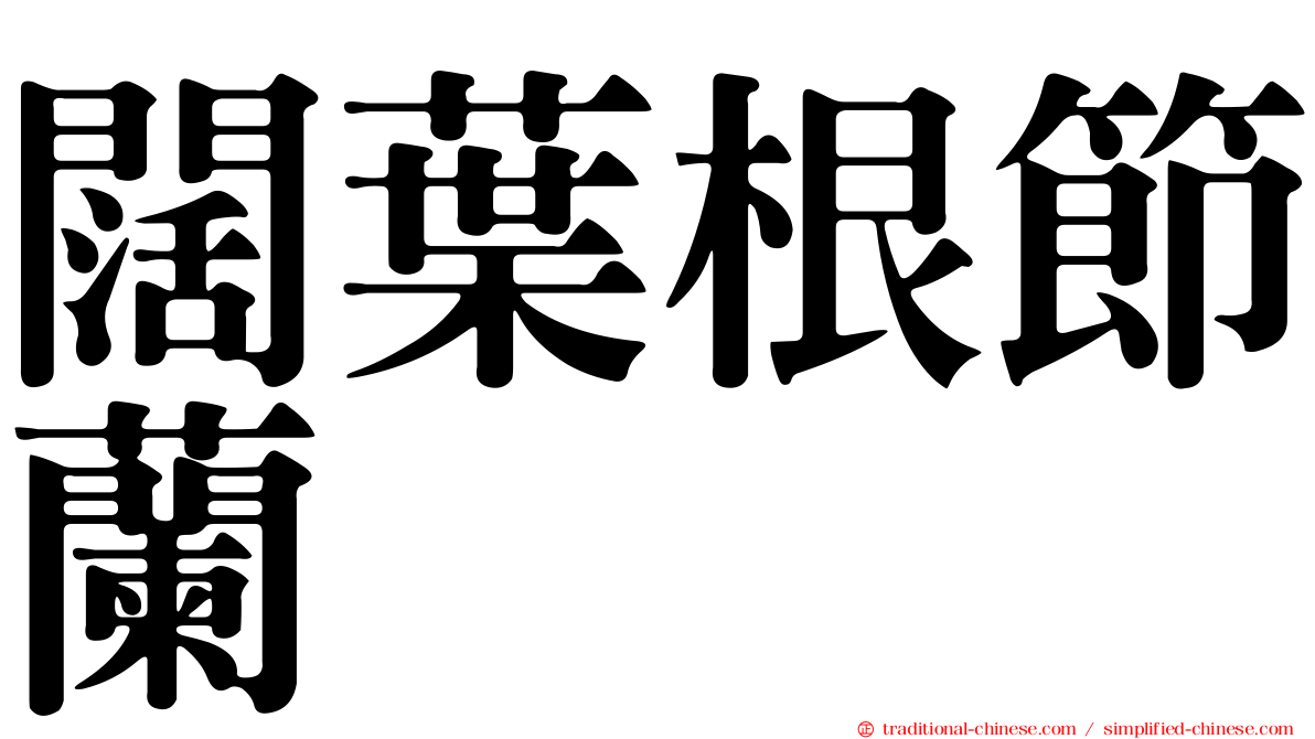 闊葉根節蘭