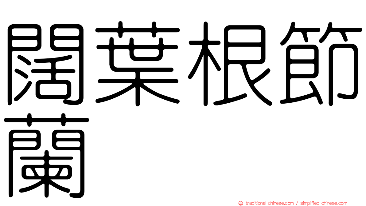 闊葉根節蘭