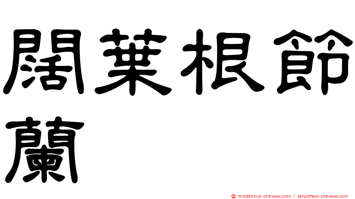 闊葉根節蘭