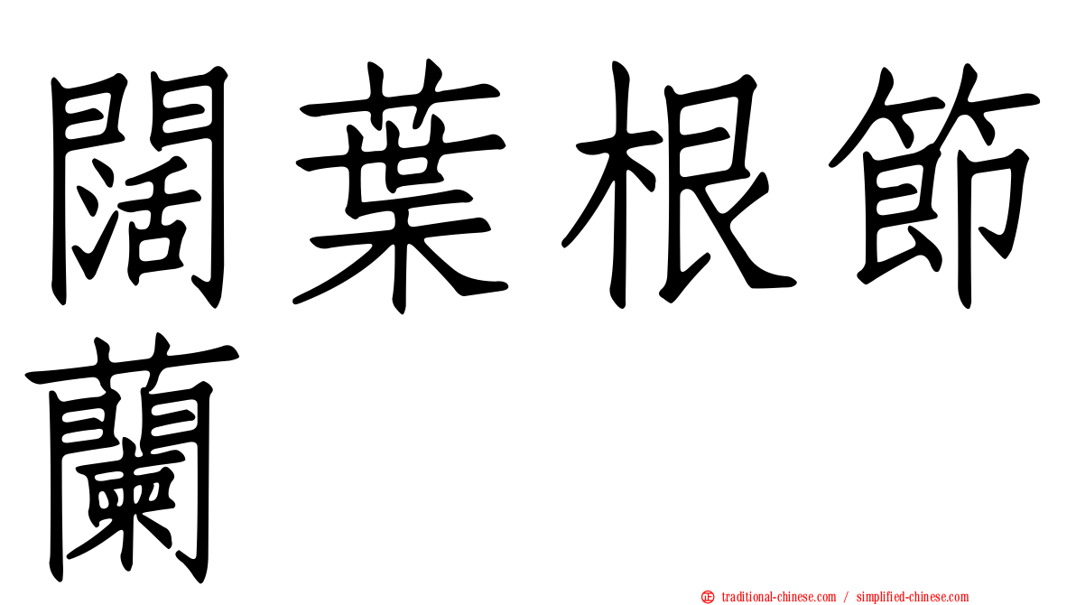 闊葉根節蘭