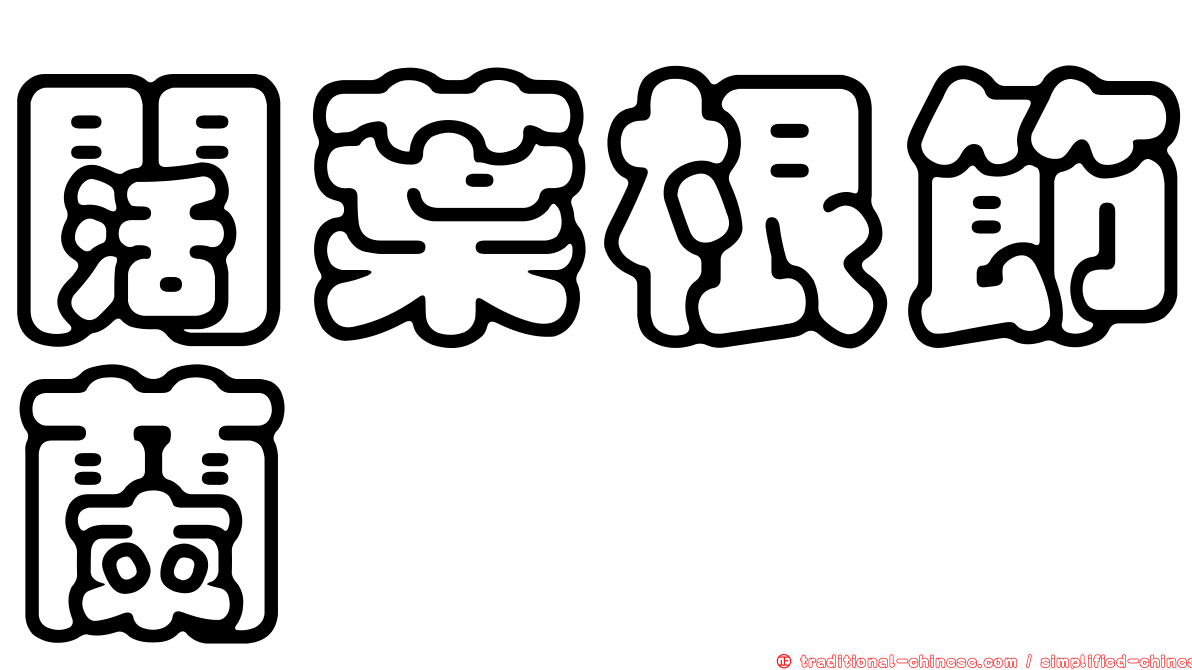 闊葉根節蘭