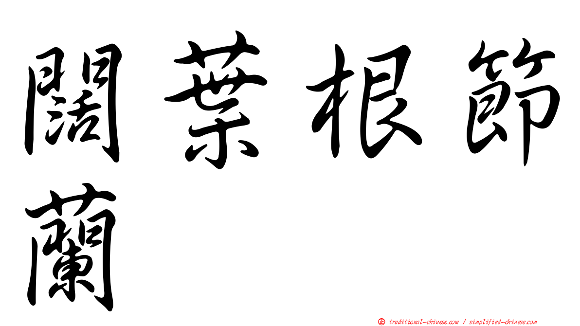 闊葉根節蘭