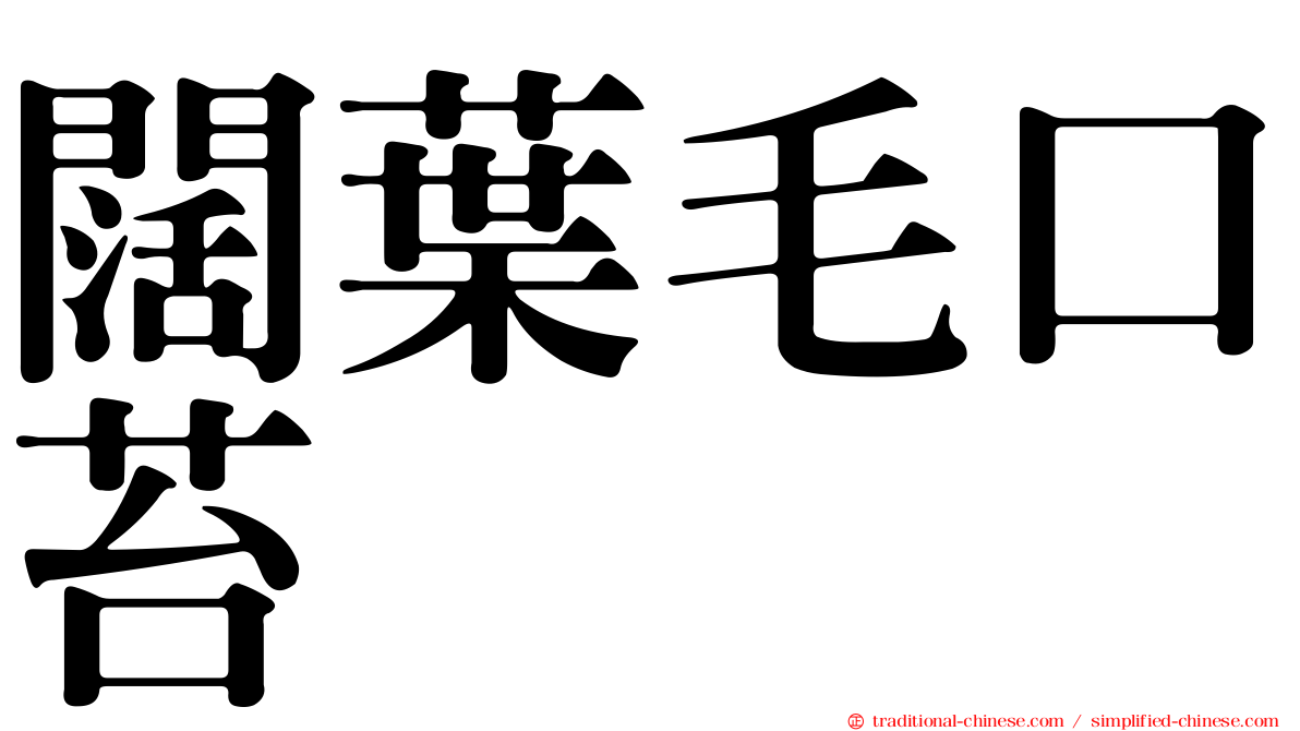 闊葉毛口苔