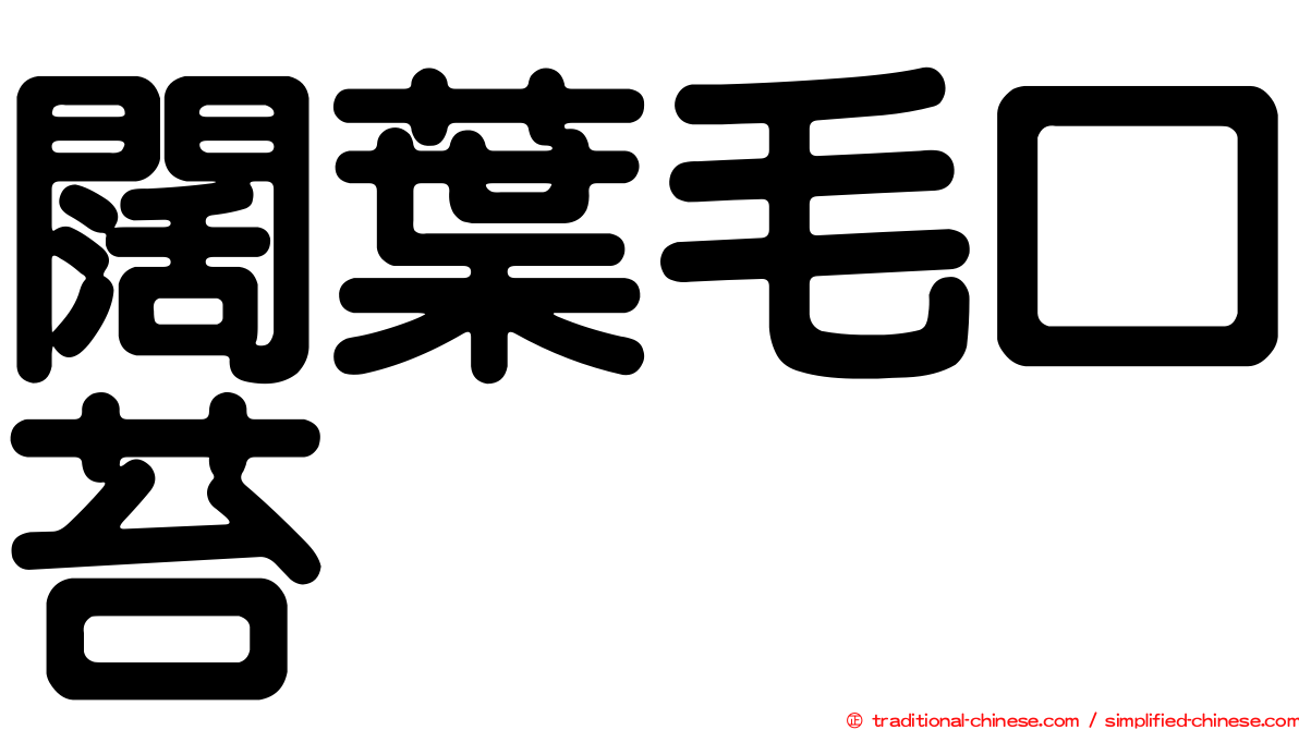 闊葉毛口苔