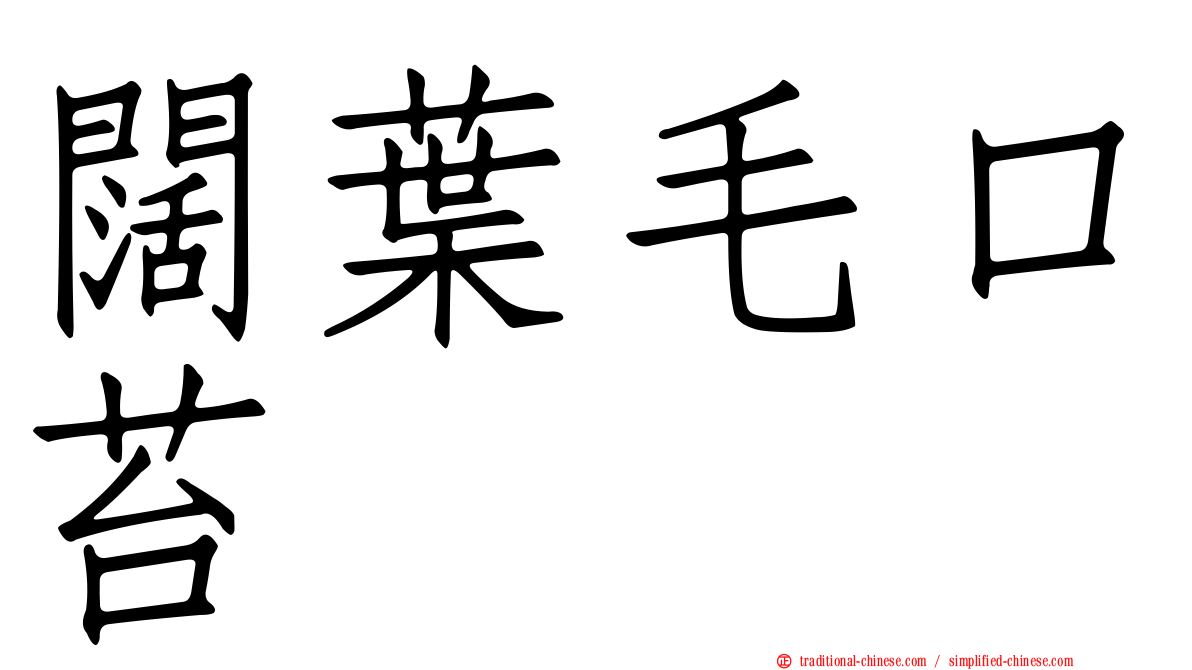 闊葉毛口苔