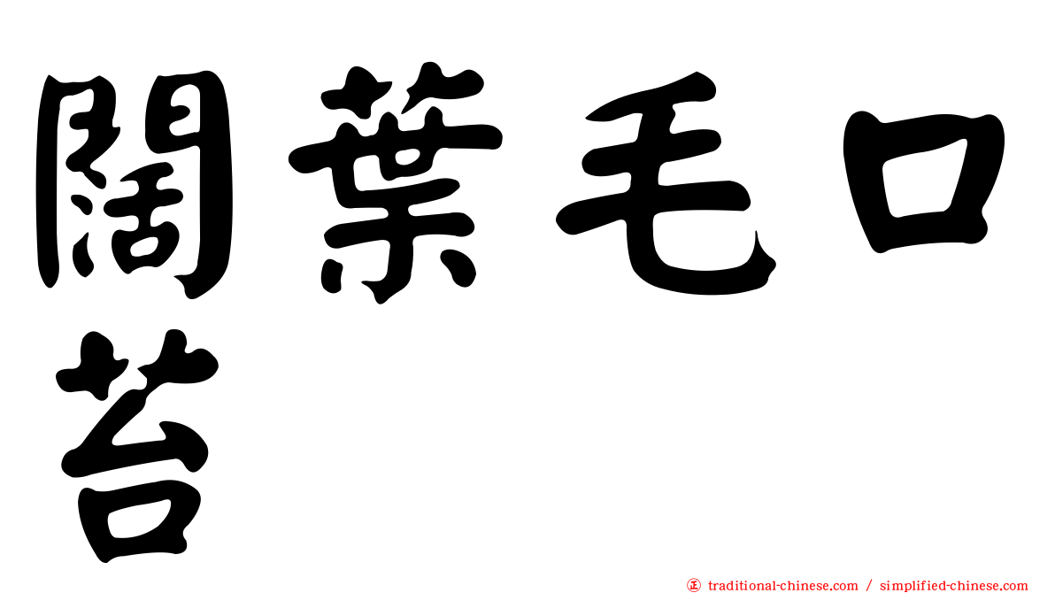 闊葉毛口苔