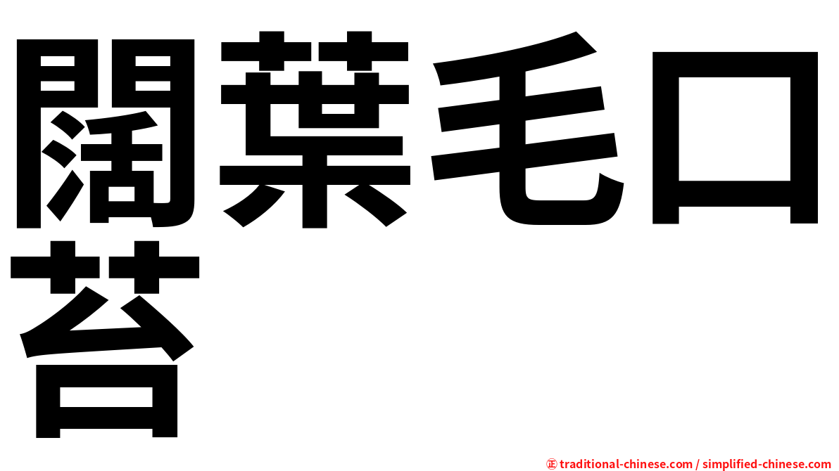 闊葉毛口苔