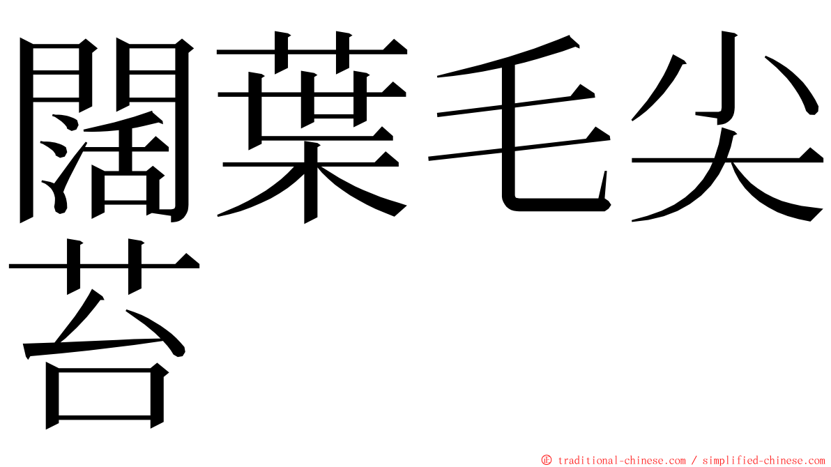 闊葉毛尖苔 ming font