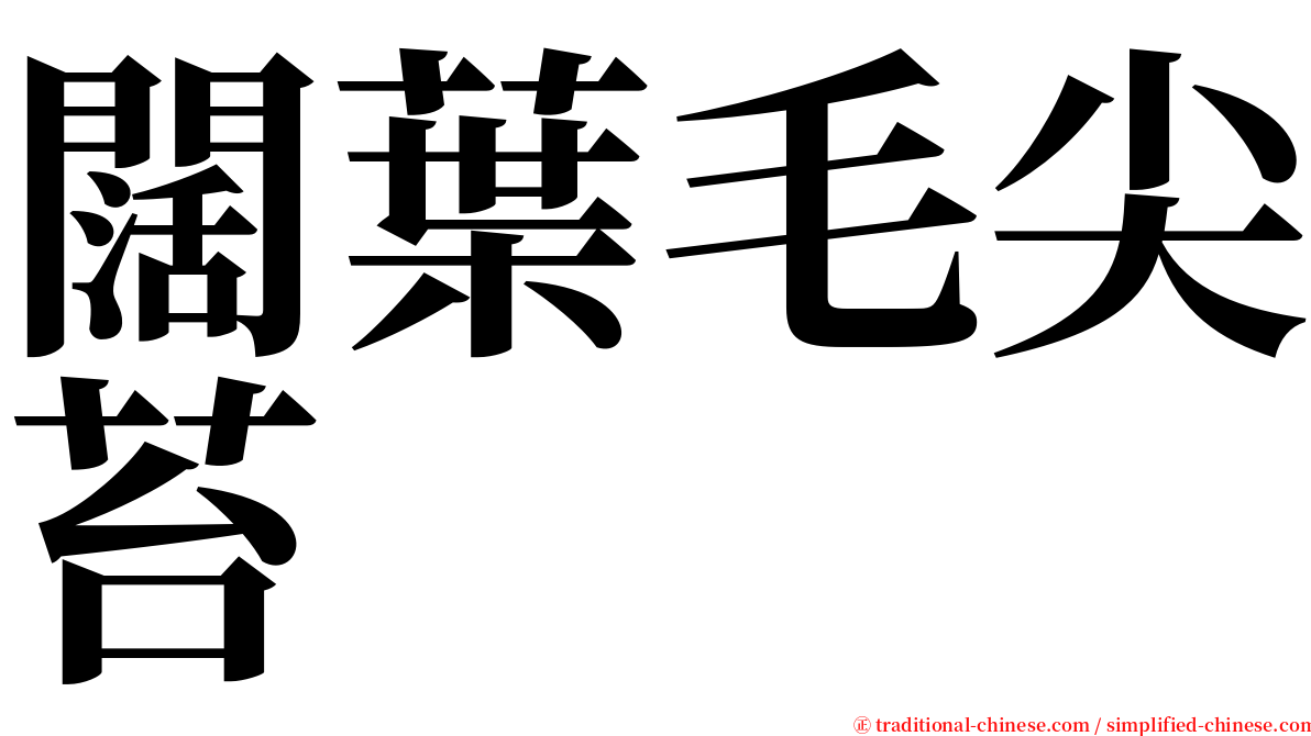 闊葉毛尖苔 serif font
