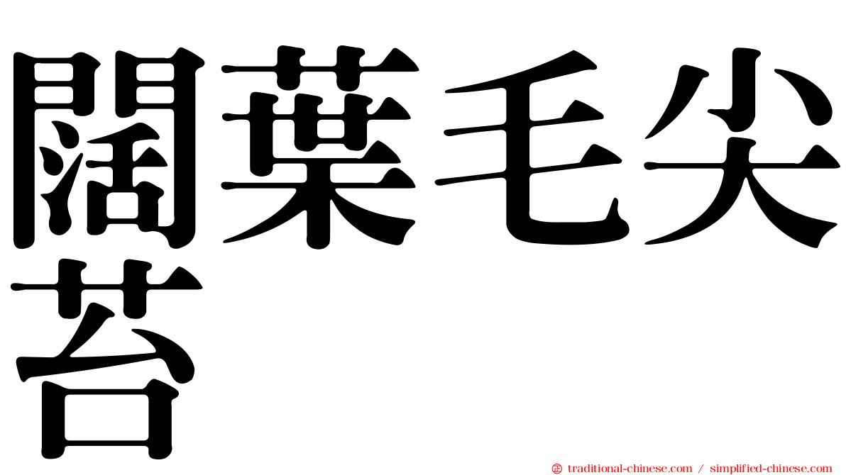 闊葉毛尖苔