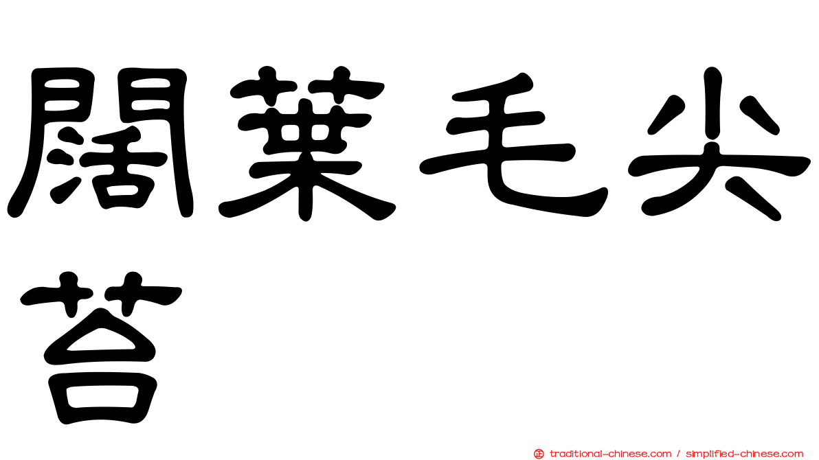 闊葉毛尖苔