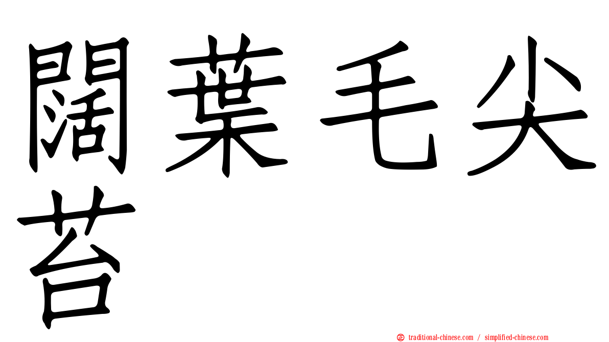 闊葉毛尖苔