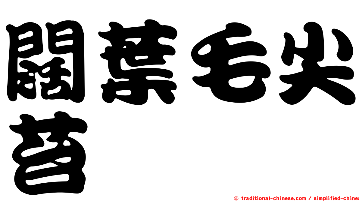 闊葉毛尖苔
