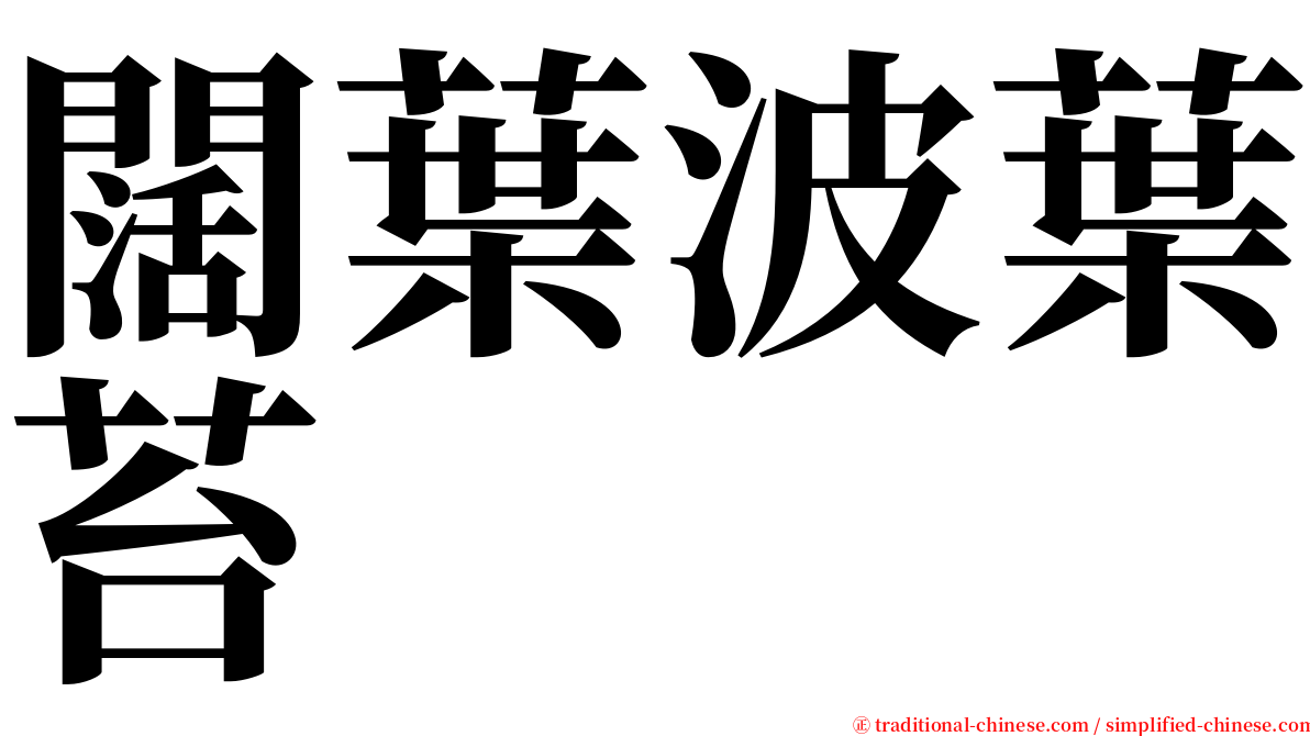 闊葉波葉苔 serif font