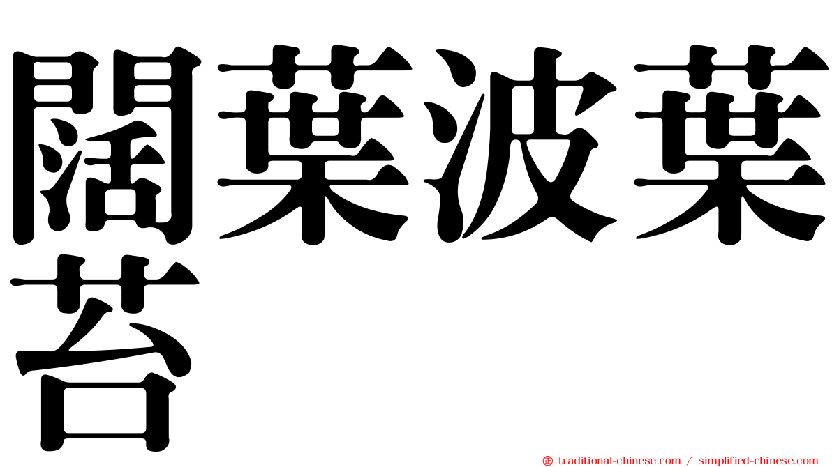 闊葉波葉苔