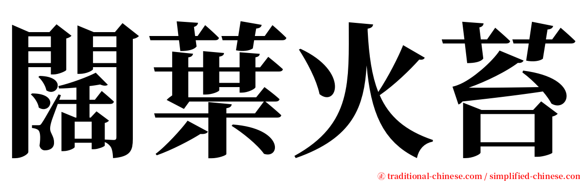 闊葉火苔 serif font