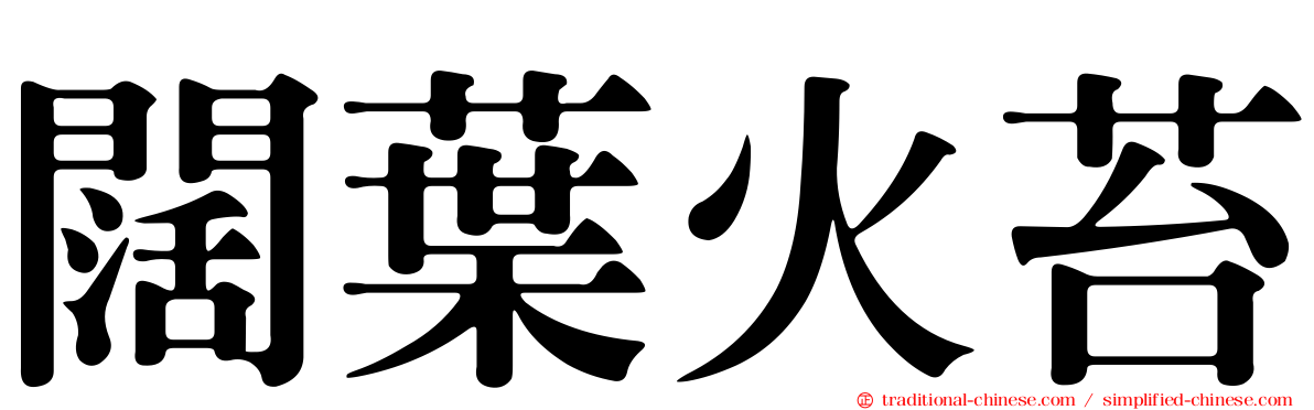 闊葉火苔