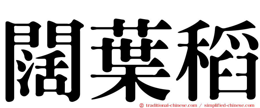 闊葉稻