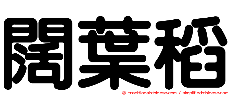 闊葉稻