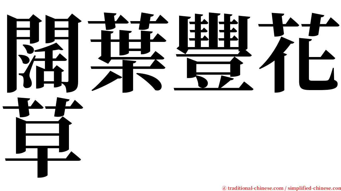 闊葉豐花草 serif font