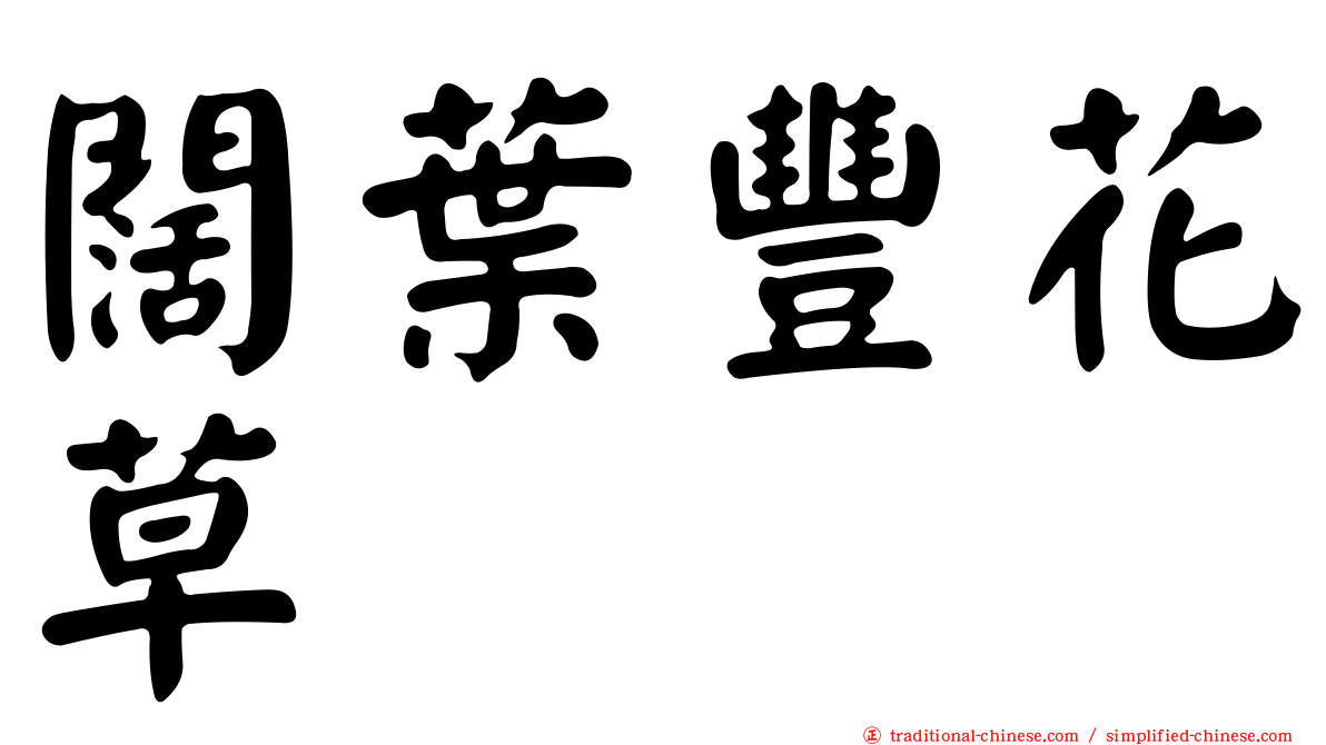 闊葉豐花草